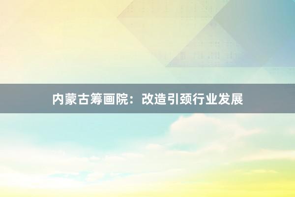 内蒙古筹画院：改造引颈行业发展