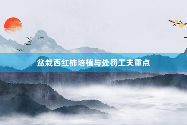 盆栽西红柿培植与处罚工夫重点