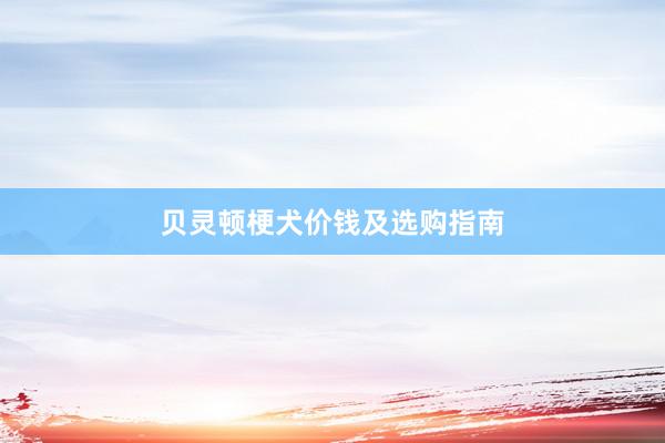 贝灵顿梗犬价钱及选购指南