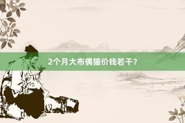 2个月大布偶猫价钱若干？