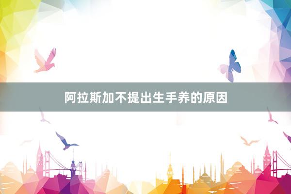 阿拉斯加不提出生手养的原因