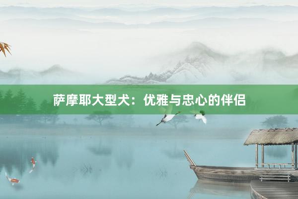 萨摩耶大型犬：优雅与忠心的伴侣